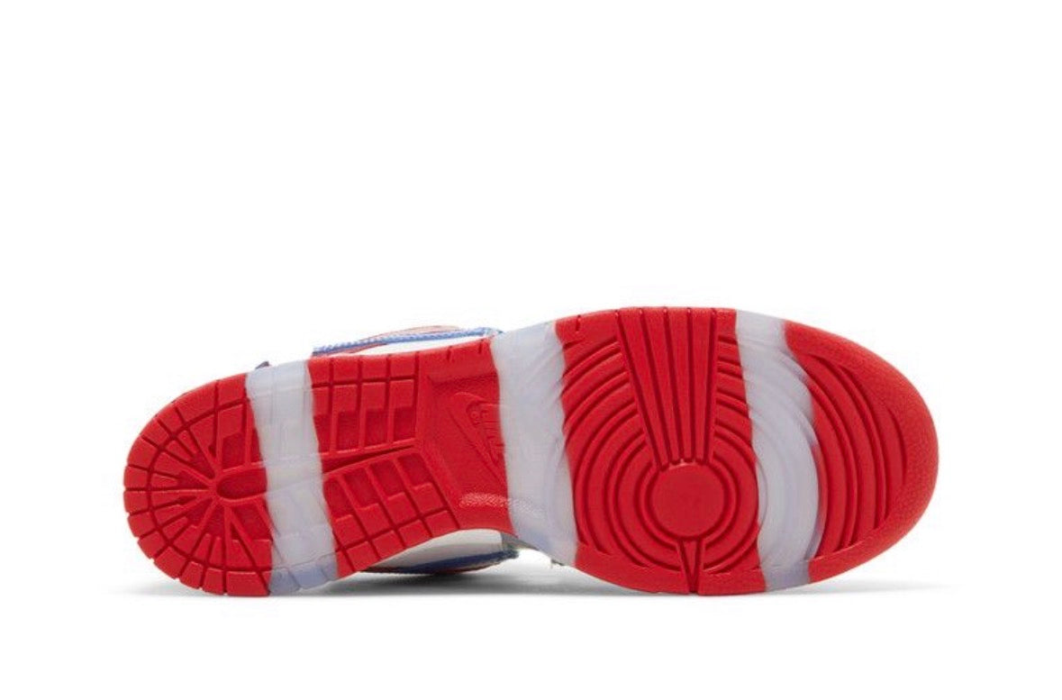 NK Low Dunk SB EBay Size 11/5