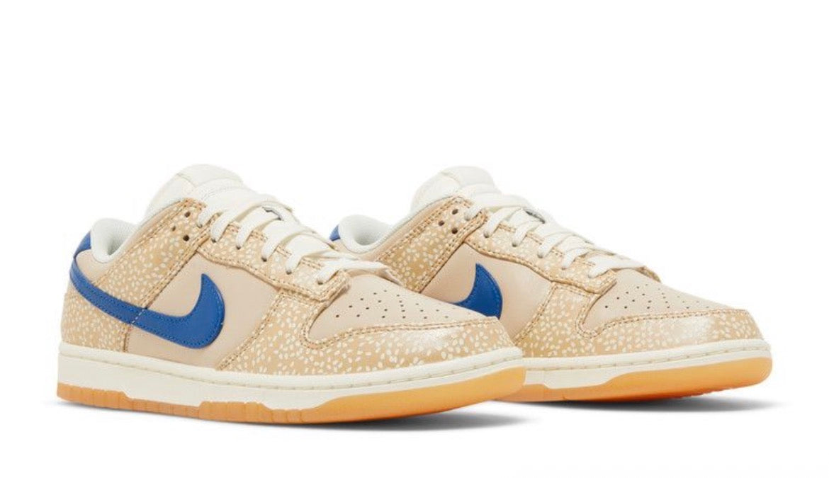 NK low Dunk “Bagel’’