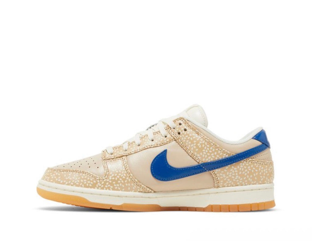 NK low Dunk “Bagel’’