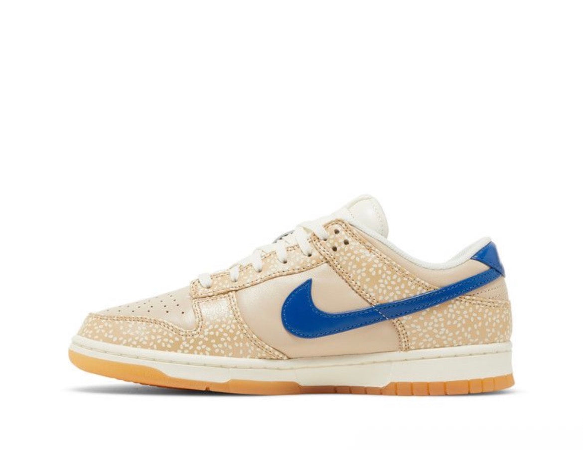NK low Dunk “Bagel’’